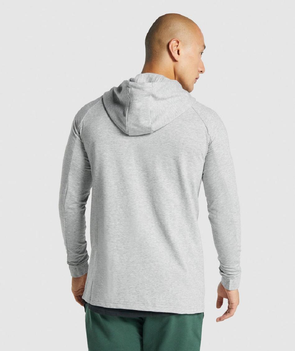 Sudadera Con Capucha Gymshark Critical 2.0 Zip Up Hombre Gris Claro | CO 3647XYU